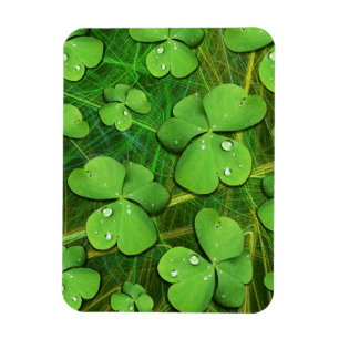 Green Shamrock St Patrick's iPhone 5 Case-Mate Magnet