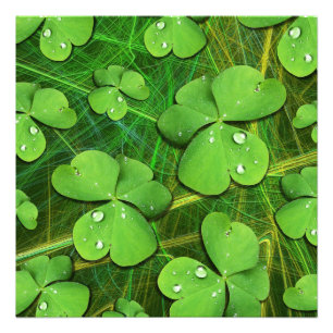 Green Shamrock St Patrick's iPhone 5 Case-Mate Photo Print