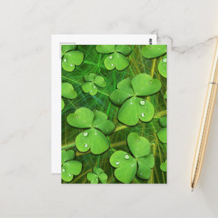 Green Shamrock St Patrick's iPhone 5 Case-Mate Postcard