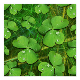 Green Shamrock St Patrick's iPhone 5 Case-Mate Poster