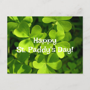 Green Shamrocks, St. Paddy's Day Postcard