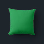Green Simple Solid Colour Throw Pillow<br><div class="desc">Red Simple Solid Colour Throw Pillow</div>