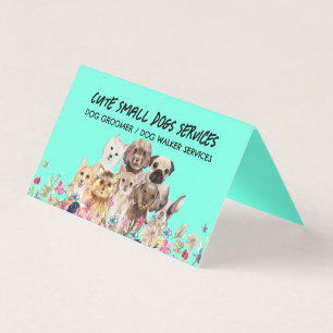 Green Small Dogs grooming cute pet sitter