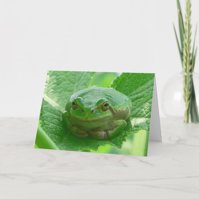 Green smiling Frog - close up Card (Front)