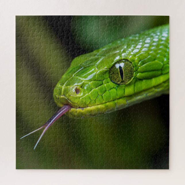 Green Snake Head Jigsaw Puzzle (Vertical)