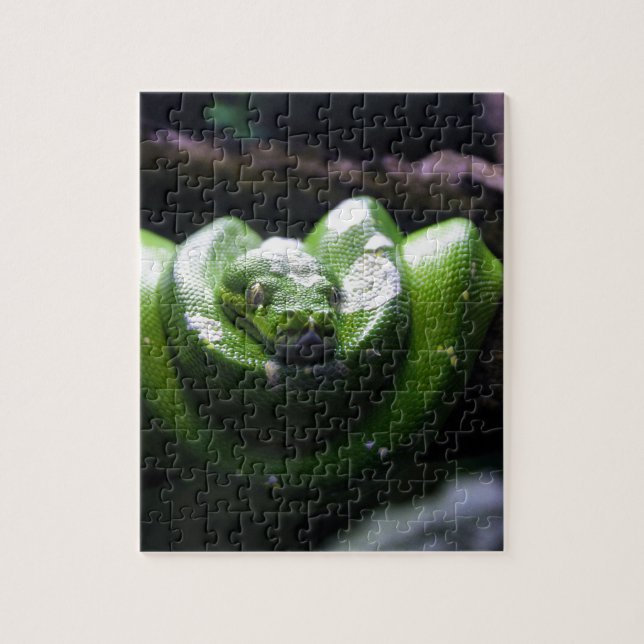 Green snake jigsaw puzzle (Vertical)