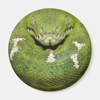 Green Snake Product Magnet