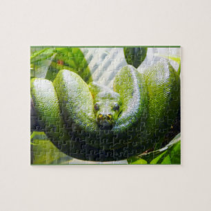 Green Snake Puzzle