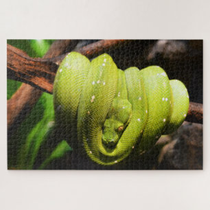 Green snake reptile jigsaw puzzle