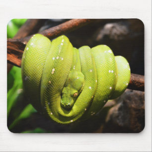 Green snake reptile mouse mat