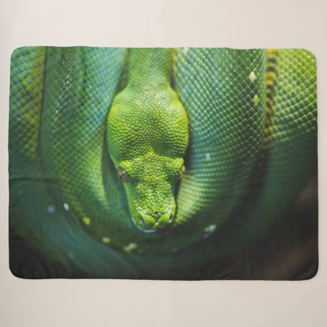 GREEN SNAKE SHERPA BLANKET (Front (Horizontal))