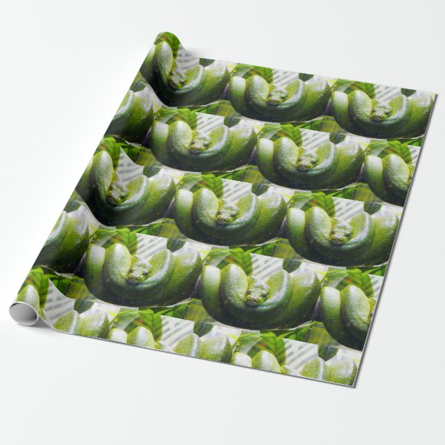 Green Snake Wrapping Paper (Unrolled)