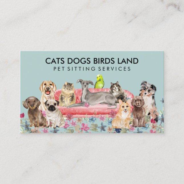 Green Soft Dog Cat Bird Hotel Sofa Pet Sitting Business Card (Front)