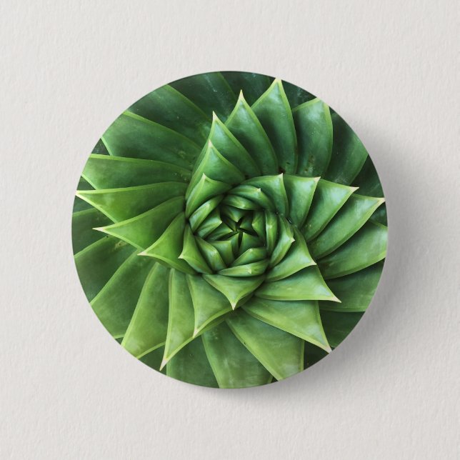 Green Spiral Aloe Polyphylla Button (Front)