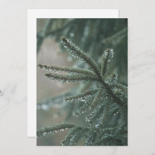 Green spruce tree close-up, Christmas esthetic Holiday Card