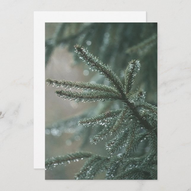 Green spruce tree close-up, Christmas esthetic Holiday Card (Front/Back)
