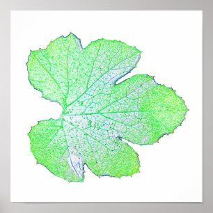 Green Squash Leaf Minimalism Square Wall Poster