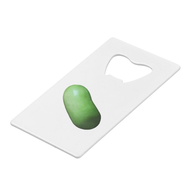 Green Squash (Winter Melon) (Front Angled)