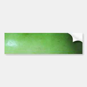 Green Squash (Winter Melon) Bumper Sticker
