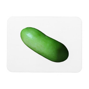Green Squash (Winter Melon) Magnet