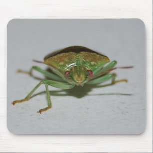Green Stink Bug mousepad