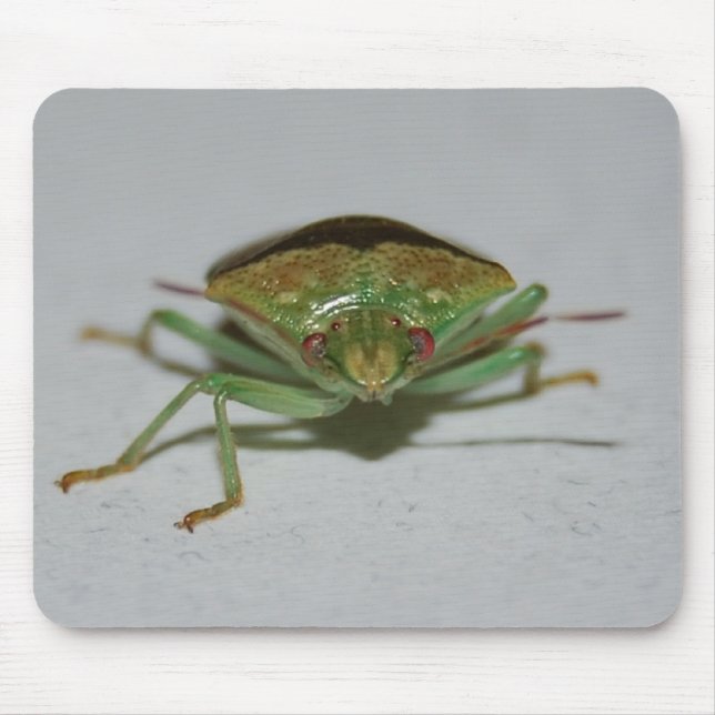 Green Stink Bug mousepad (Front)