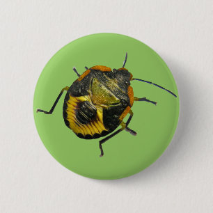 Green Stink Bug Nymph Coordinating Items 6 Cm Round Badge