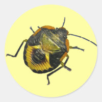 Green Stink Bug Nymph Coordinating Items