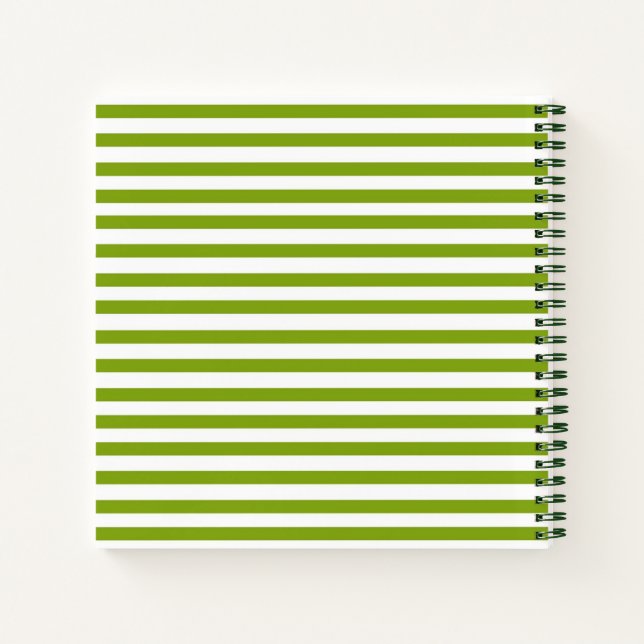 Green stripe spiral notebook (Back)