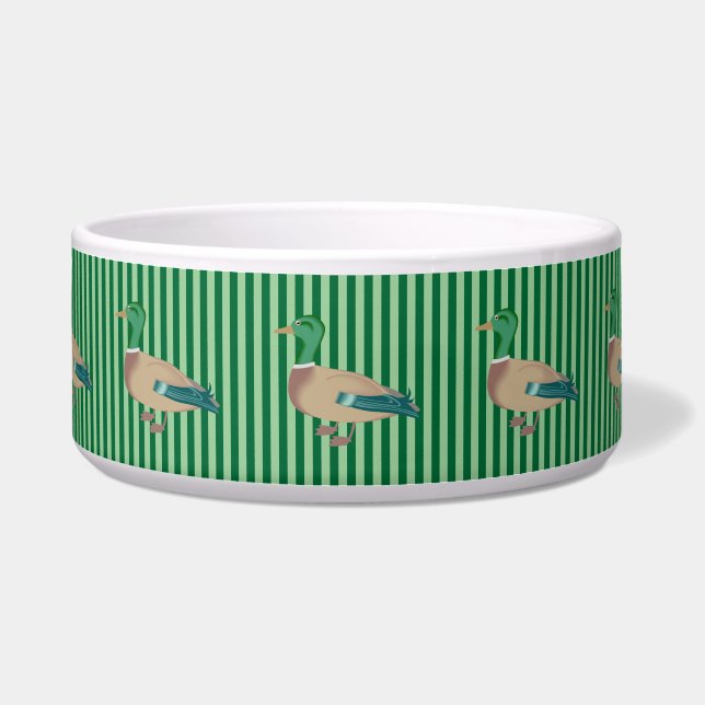 Green Striped Duck Dog Bowl (Front)