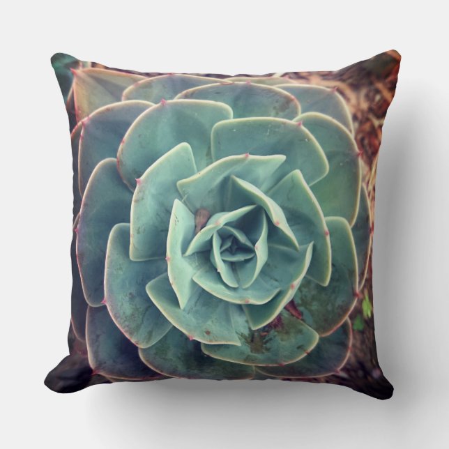 Green Succulent (black rear cover) Cushion (Front)