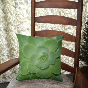 Green Succulent Botanical Photographic  Cushion
