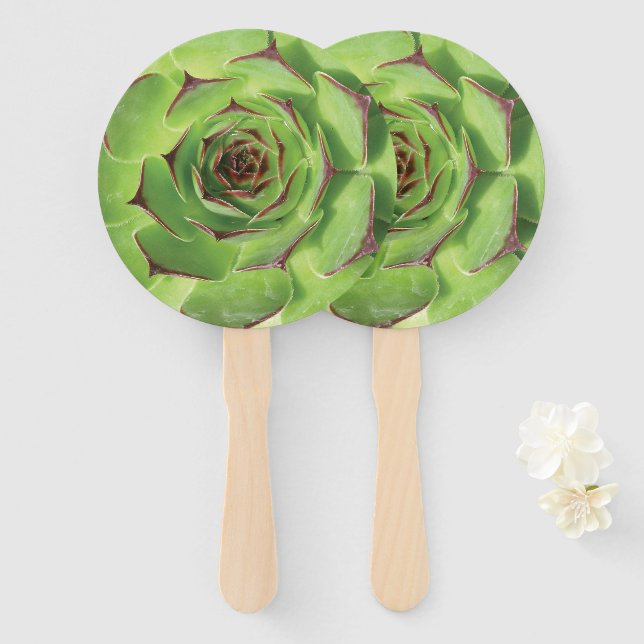 Green Succulent Cactus Spring Flower Hand Fan (Front and Back)