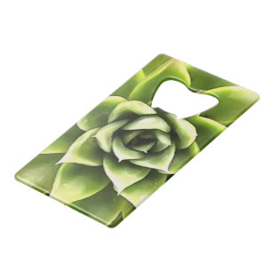 Green Succulent Close Up Cacti Art