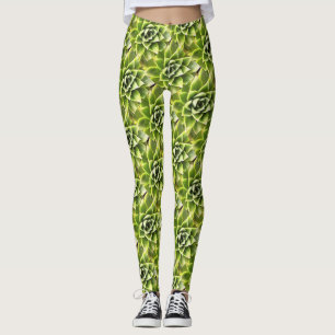 Green Succulent Close Up Cacti Art Leggings