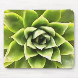 Green Succulent Close Up Cacti Art Mouse Mat