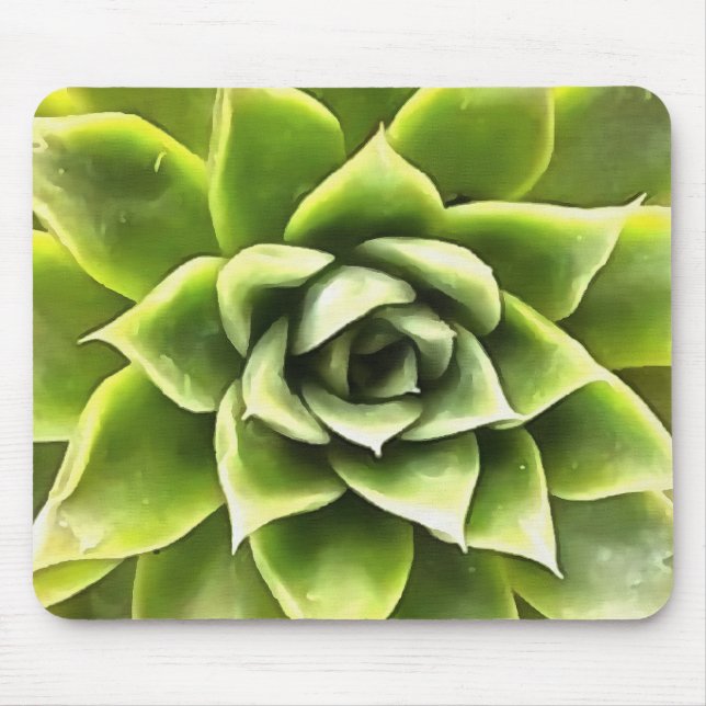 Green Succulent Close Up Cacti Art Mouse Mat (Front)