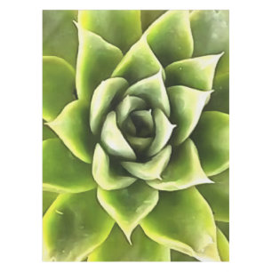Green Succulent Close Up Cacti Art Tablecloth