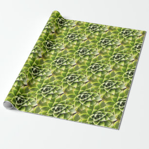 Green Succulent Close Up Cacti Art Wrapping Paper
