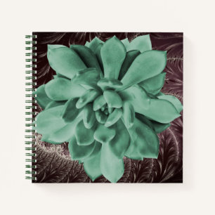 Green Succulent Echeveria Apus Closeup Photo Notebook