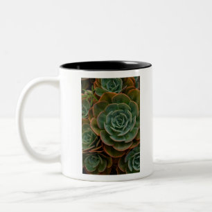 Green Succulent Flower Pattern Plant Photography Two-Tone Coffee Mug