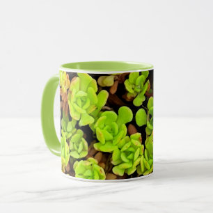 Green Succulent Flowers Mug