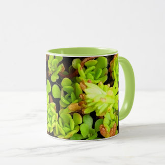 Green Succulent Flowers Mug