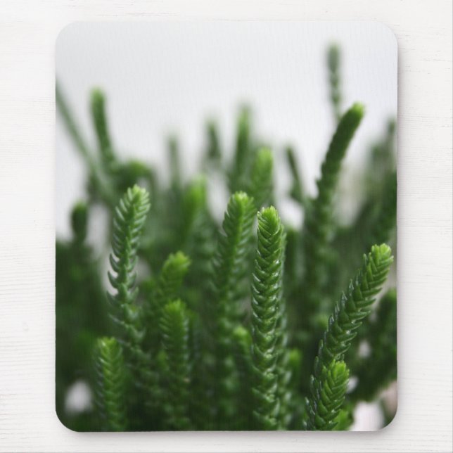 Green Succulent Grass Plant Nature Photo Mousepad (Front)