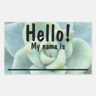 Green Succulent Name tag Stickers