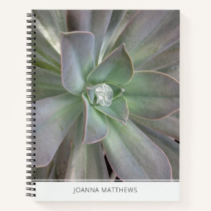 Green Succulent Notebook