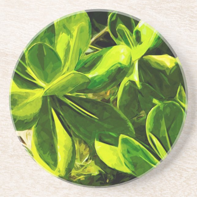 Green Succulent Ocean Beach Plant Abstract Coaster (Front)