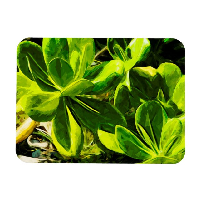 Green Succulent Ocean Beach Plant Abstract Magnet (Horizontal)