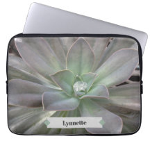 Green Succulent Personalised