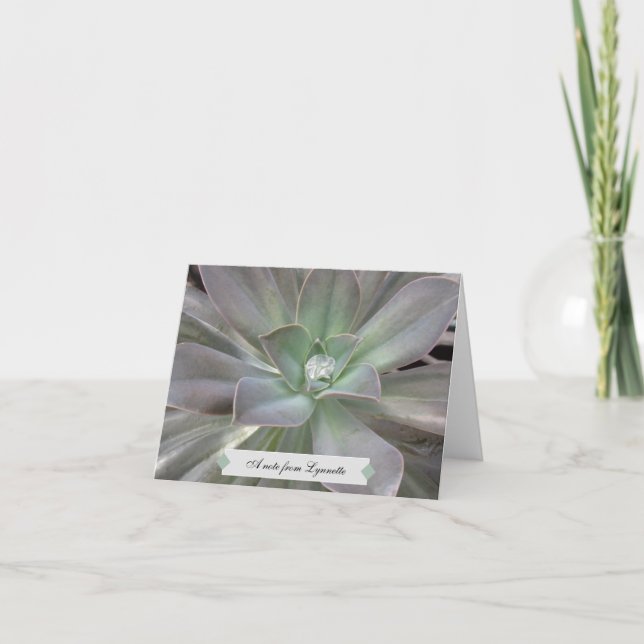 Green Succulent Personalised  Note Card (Front)